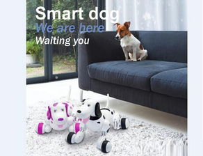 电子无线遥控器批发与电子宠物市场 图片、价格与厂家直销全解析