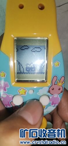 指尖上的童年 那些在Discuz论坛里“喂养”电子宠物的日子