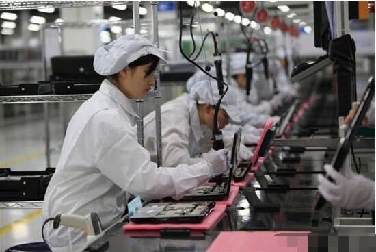 电子厂苦中作乐秘籍 上班养猫，快乐似神仙？