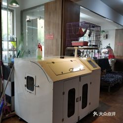 大连宠物电子宠物新体验 联系方式、价格与营业时间全指南